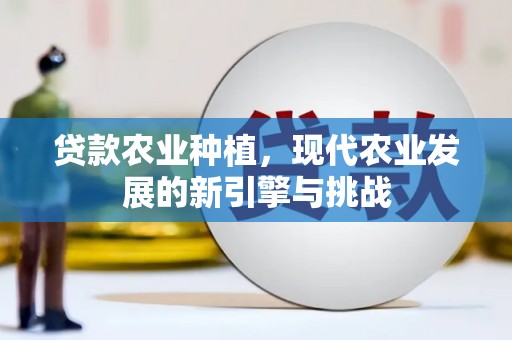 武川贷款农业种植，现代农业发展的新引擎与挑战