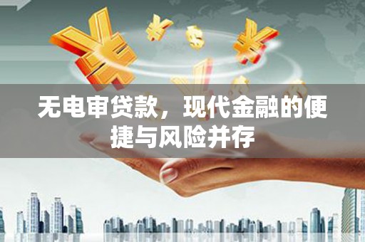 武川无电审贷款，现代金融的便捷与风险并存