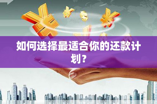 武川如何选择最适合你的还款计划？