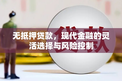 武川无抵押贷款，现代金融的灵活选择与风险控制