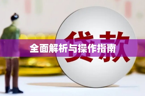 武川全面解析与操作指南