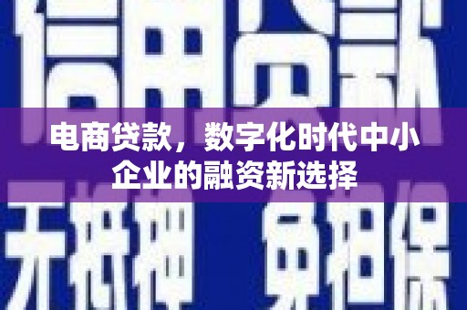 武川电商贷款，数字化时代中小企业的融资新选择