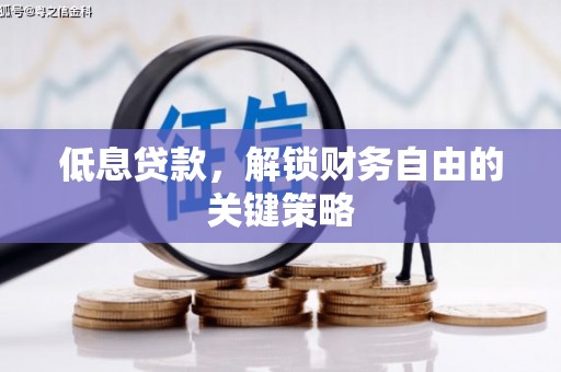 武川低息贷款，解锁财务自由的关键策略