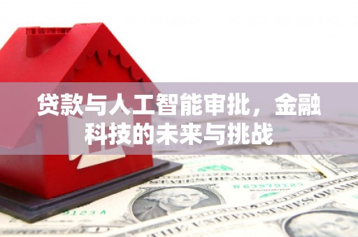 武川贷款与人工智能审批，金融科技的未来与挑战
