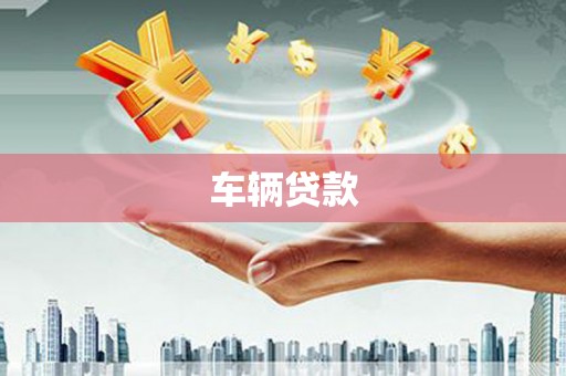 武川车辆贷款