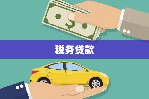 武川税务贷款
