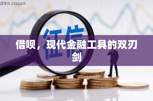 武川借呗，现代金融工具的双刃剑
