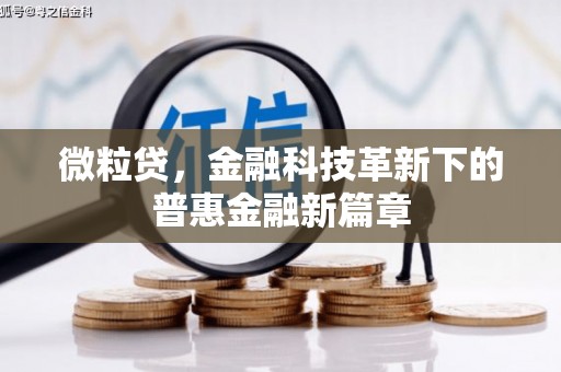 武川微粒贷，金融科技革新下的普惠金融新篇章