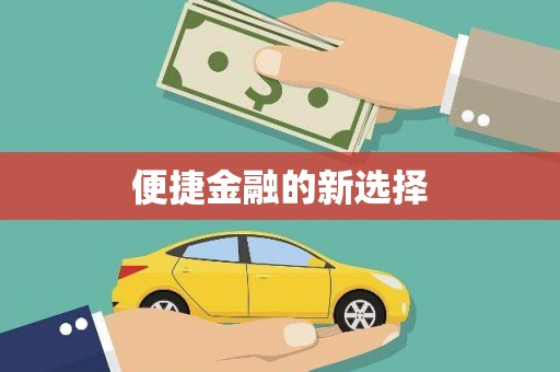 武川便捷金融的新选择