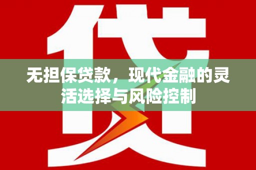 武川无担保贷款，现代金融的灵活选择与风险控制