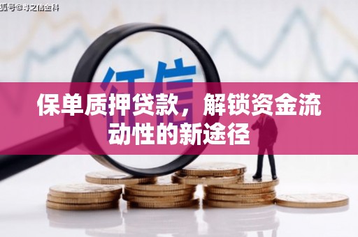 武川保单质押贷款，解锁资金流动性的新途径