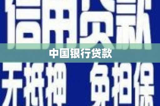 武川中国银行贷款