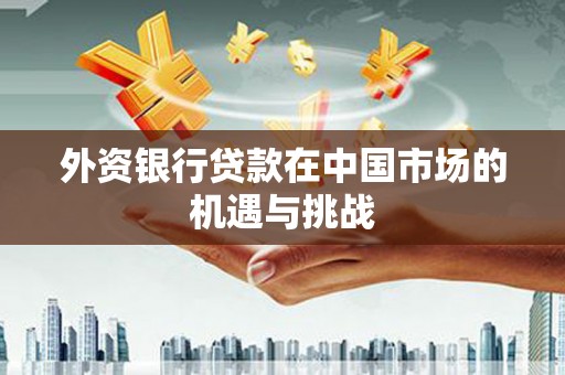 武川外资银行贷款在中国市场的机遇与挑战
