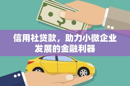 武川信用社贷款，助力小微企业发展的金融利器
