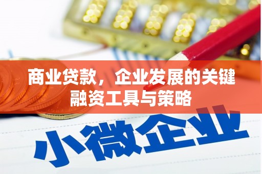 武川商业贷款，企业发展的关键融资工具与策略