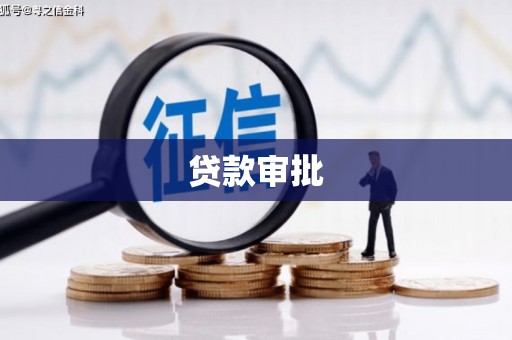 武川贷款审批