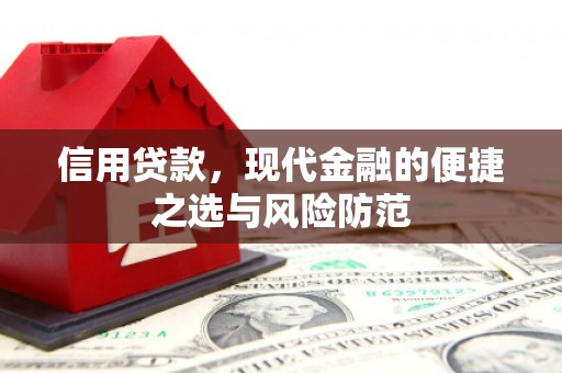 武川信用贷款，现代金融的便捷之选与风险防范