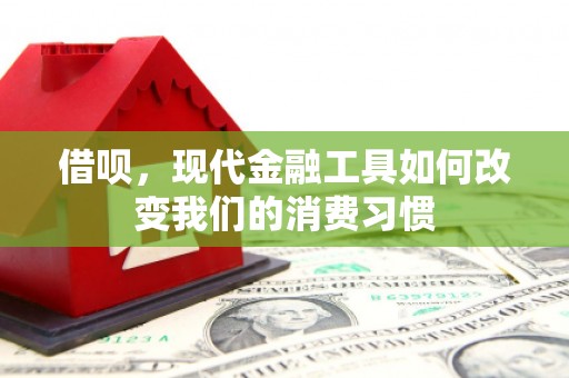 武川借呗，现代金融工具如何改变我们的消费习惯