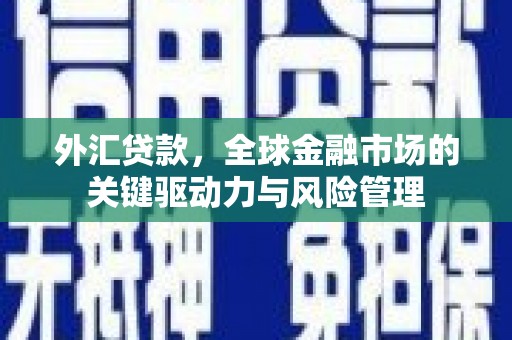 武川外汇贷款，全球金融市场的关键驱动力与风险管理