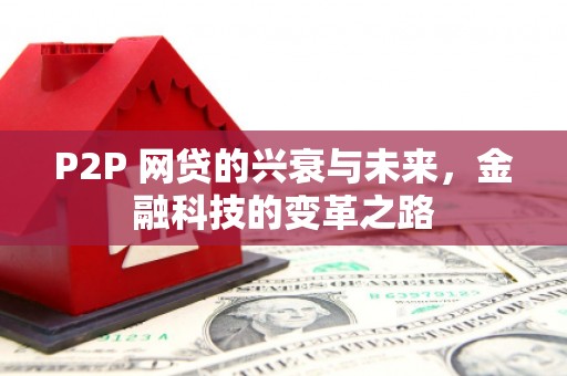 武川P2P 网贷的兴衰与未来，金融科技的变革之路