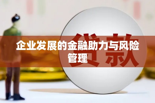 武川企业发展的金融助力与风险管理
