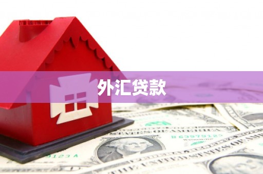 武川外汇贷款