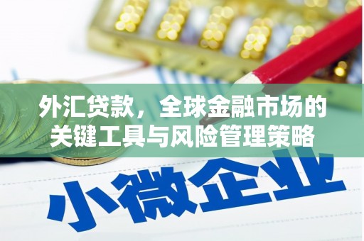 武川外汇贷款，全球金融市场的关键工具与风险管理策略
