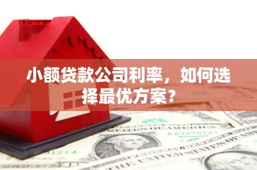 武川小额贷款公司利率，如何选择最优方案？