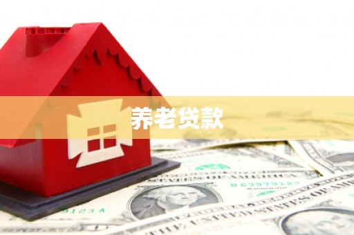 武川养老贷款