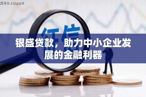 武川银盛贷款，助力中小企业发展的金融利器
