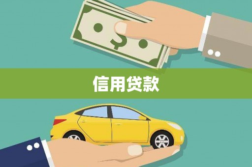 武川信用贷款