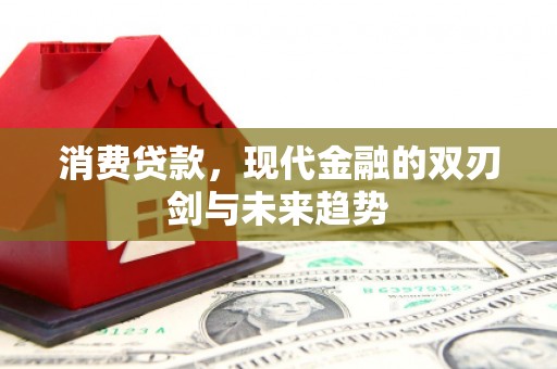 武川消费贷款，现代金融的双刃剑与未来趋势