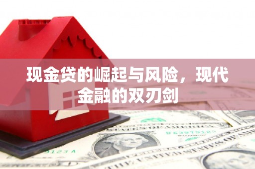 武川现金贷的崛起与风险，现代金融的双刃剑