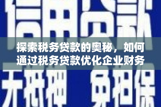 武川探索税务贷款的奥秘，如何通过税务贷款优化企业财务