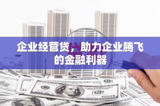 武川企业经营贷，助力企业腾飞的金融利器
