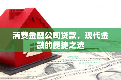 武川消费金融公司贷款，现代金融的便捷之选
