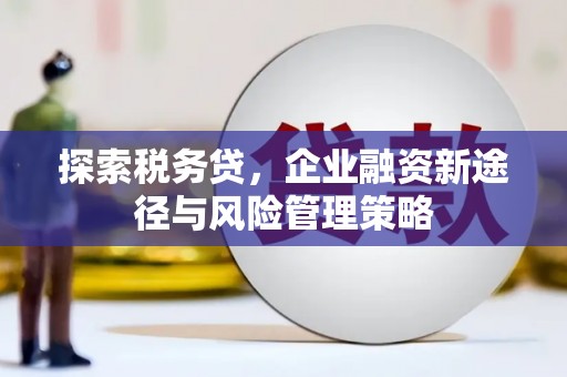 武川探索税务贷，企业融资新途径与风险管理策略