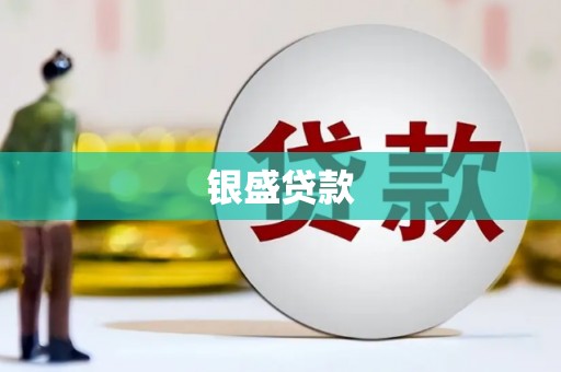武川银盛贷款