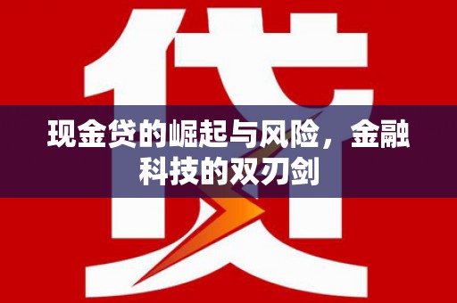 武川现金贷的崛起与风险，金融科技的双刃剑