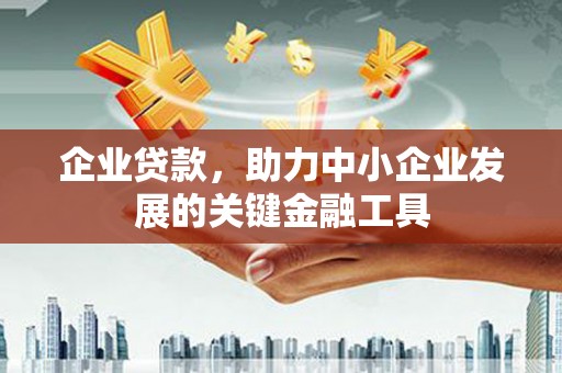 武川企业贷款，助力中小企业发展的关键金融工具