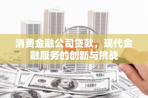 武川消费金融公司贷款，现代金融服务的创新与挑战