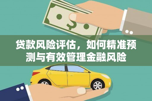 武川贷款风险评估，如何精准预测与有效管理金融风险