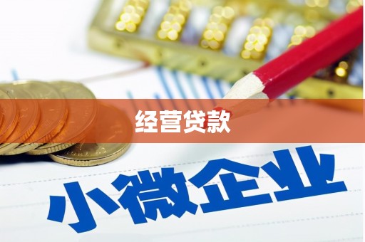 武川经营贷款