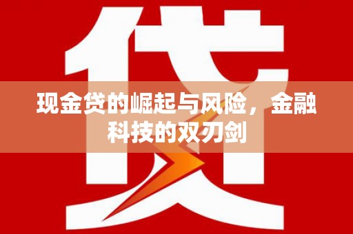 武川现金贷的崛起与风险，金融科技的双刃剑