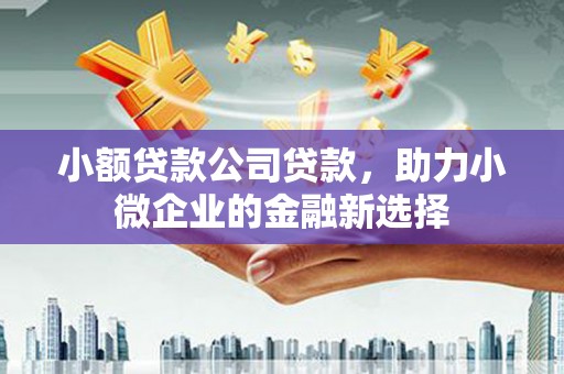 武川小额贷款公司贷款，助力小微企业的金融新选择