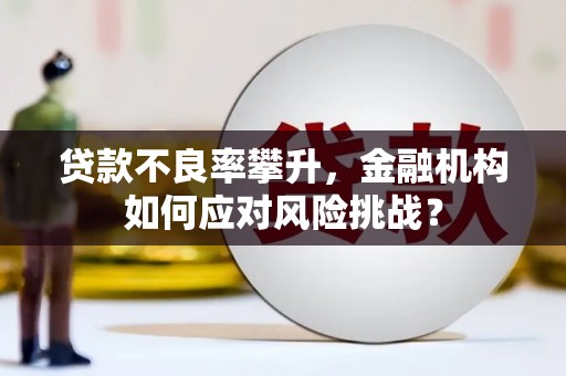 武川贷款不良率攀升，金融机构如何应对风险挑战？