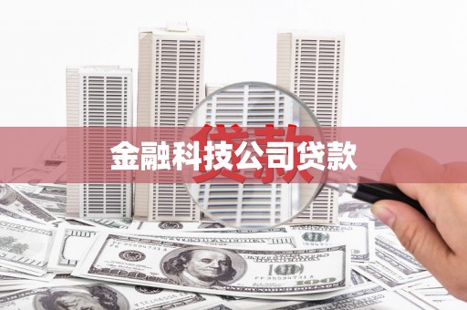 武川金融科技公司贷款