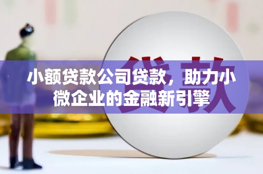 武川小额贷款公司贷款，助力小微企业的金融新引擎