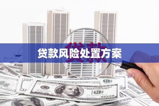 武川贷款风险处置方案