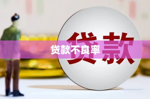 武川贷款不良率